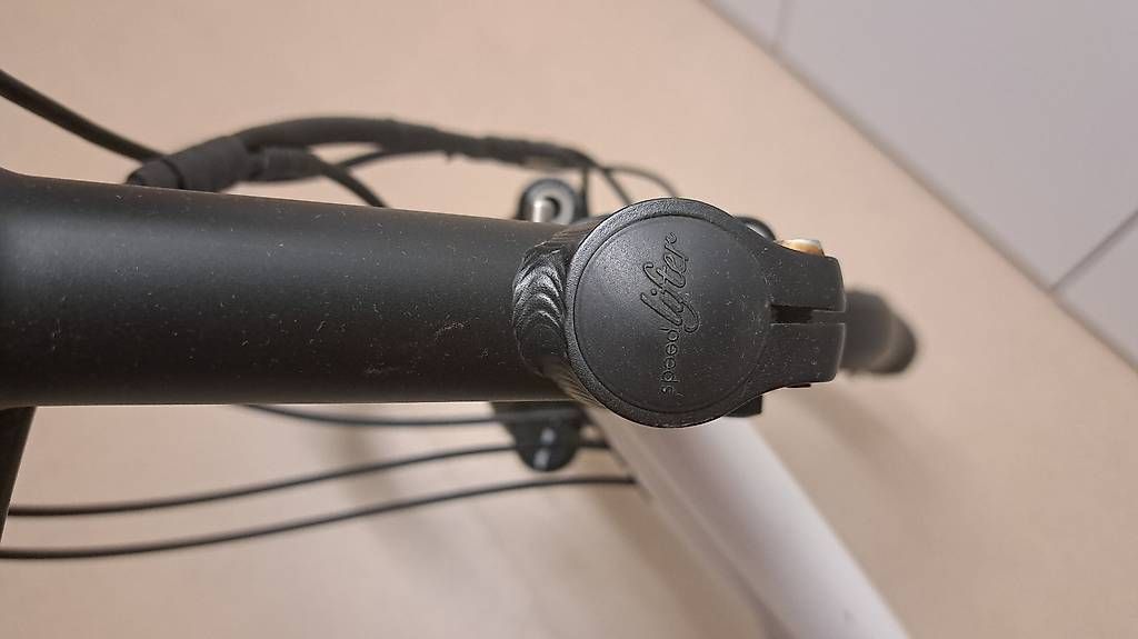 Flyer Biciclette: Flyer L8 HS 45km/h, Hinterrad defekt – Usato da Riehen venduto da Sina13 2