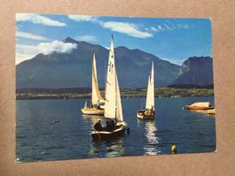 AK Thunersee Segelboote bei Hilterfingen