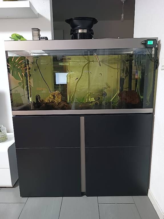 Acquari: aquarium fluval 270l complet – Usato da Coppet venduto da Donnnnnnyyyyy