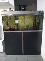 aquarium fluval 270l complet