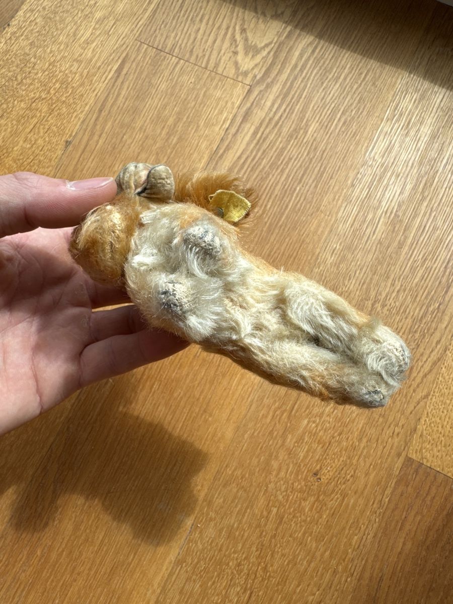 Steiff Spielzeuge: Steiff Cockie mit Knopf im Ohr – Gebraucht aus Zürich von Sigeli03 2