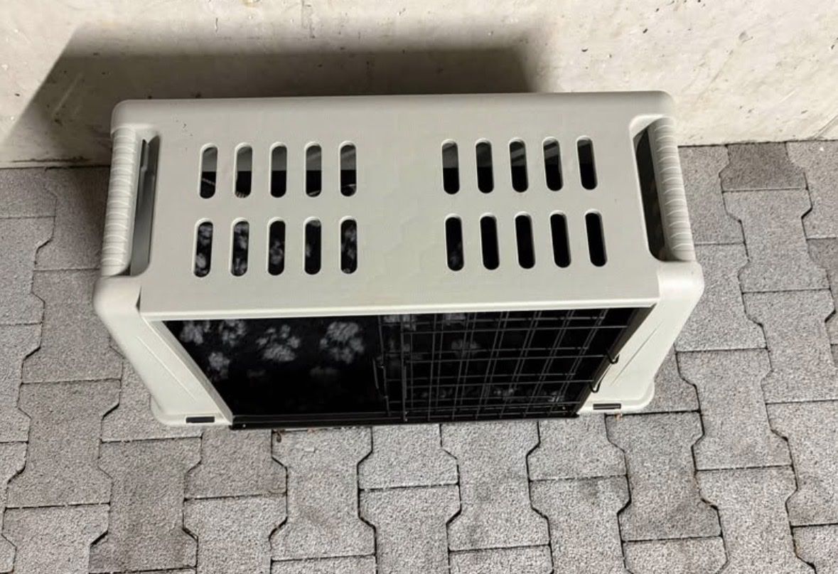 Käfige, Transport & Sicherheit: Transportbox – Gebraucht aus Rapperswil SG von walzvalerie 2