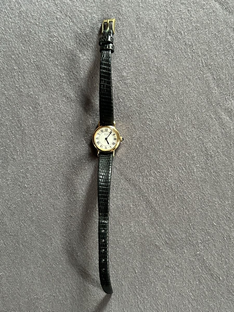 Seiko Orologi: Seltene Saiko Damenuhr – Usato da Aeschi b. Spiez venduto da davidS744 2