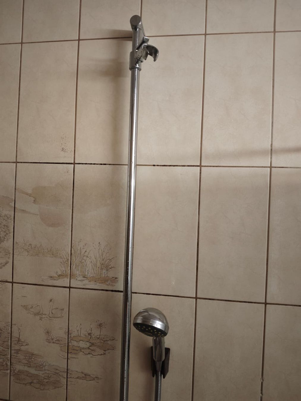 Baignoires: Badewanne – D'occasion à Rorschacherberg par Zwergli4 3