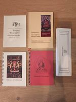 Mahamudra - Das Licht des wahren Sinnes - Buddhismus