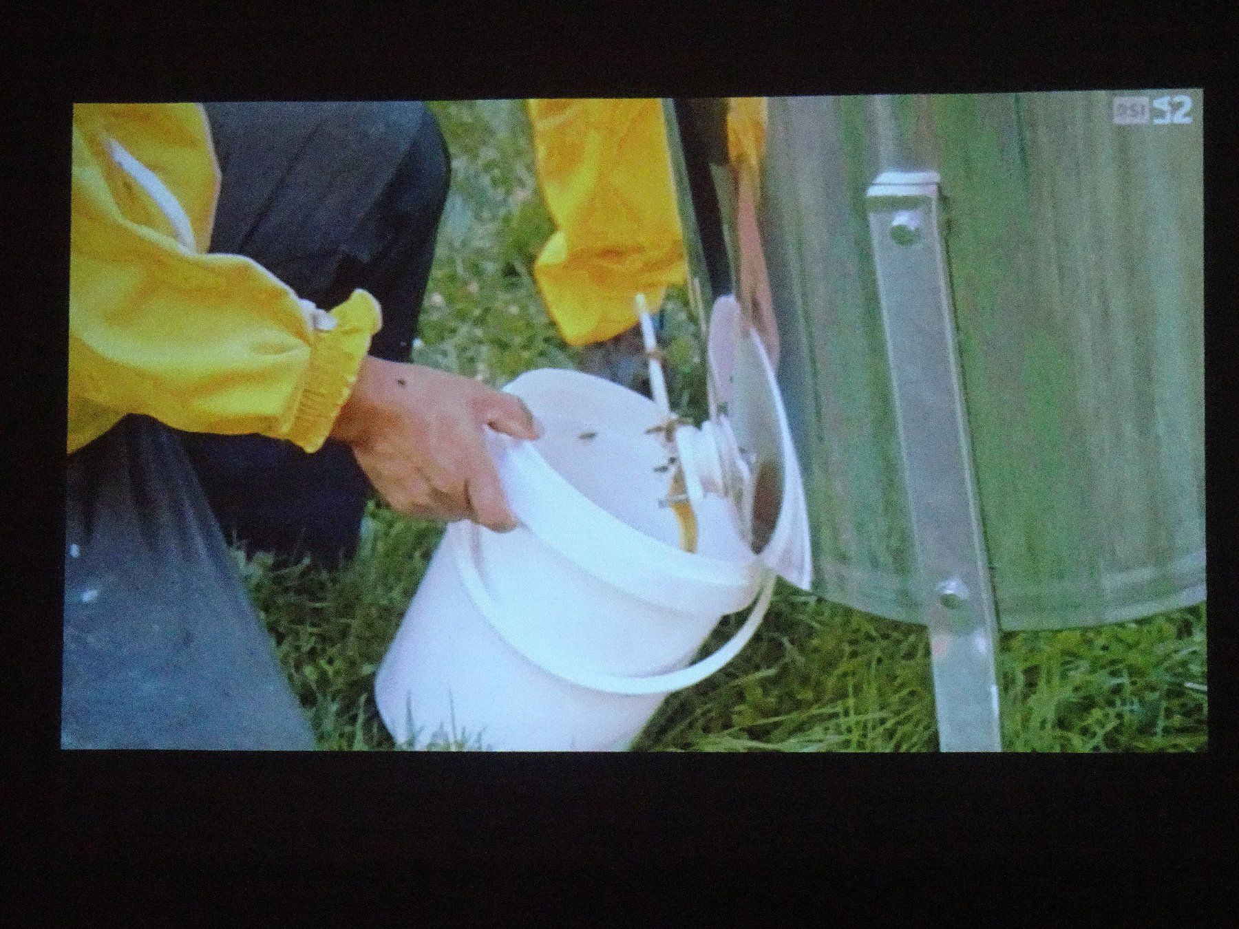 BenQ Heimkino: Projecteur video BENQ DLP  PB 6210 – Gebraucht aus Brione (Verzasca) von nevagiu 1