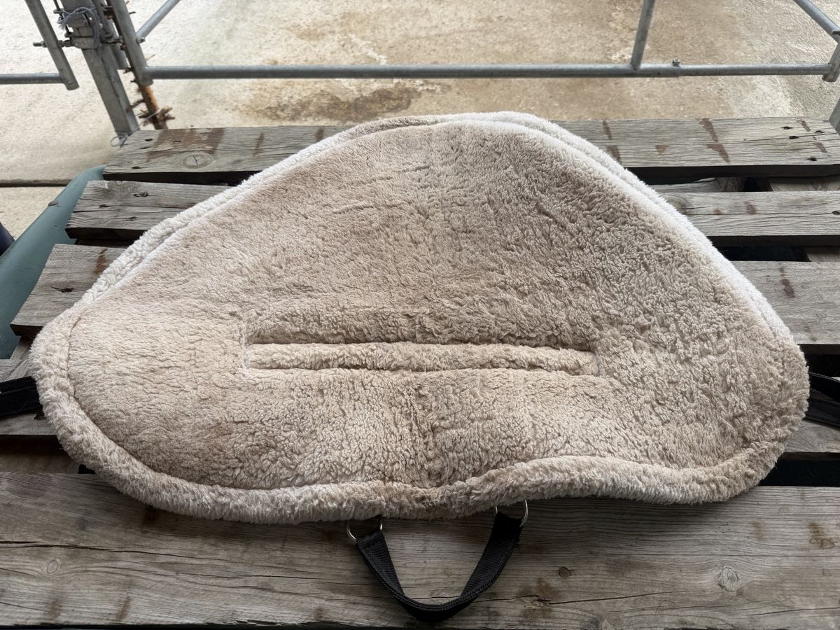 Selle & Accessori: STONEDEEK reit Sattel-Pad – Usato da Küssnacht am Rigi venduto da lar_8ykj 3