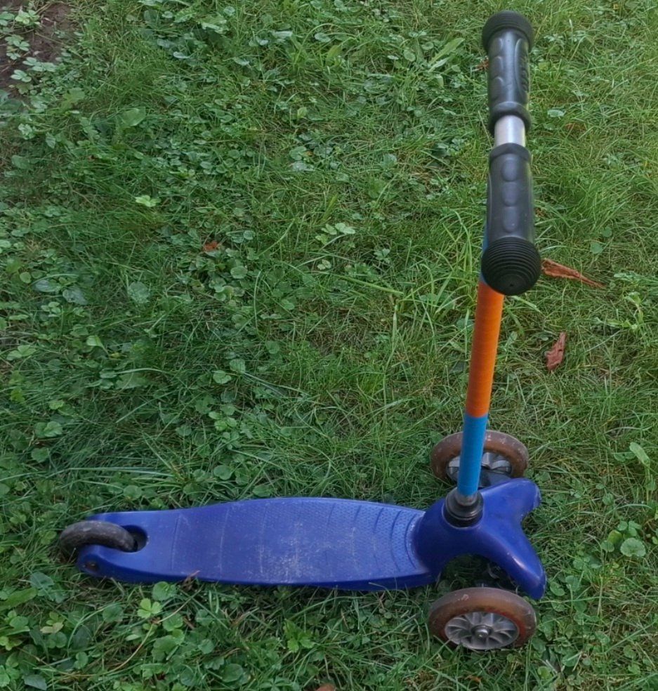 Kickboard: Trottinette  Micro – Usato da Walenstadt venduto da ema_2tln