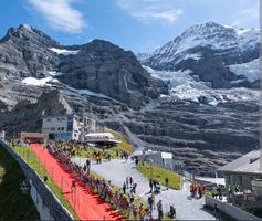 Startplatz Jungfrau Marathon 2026