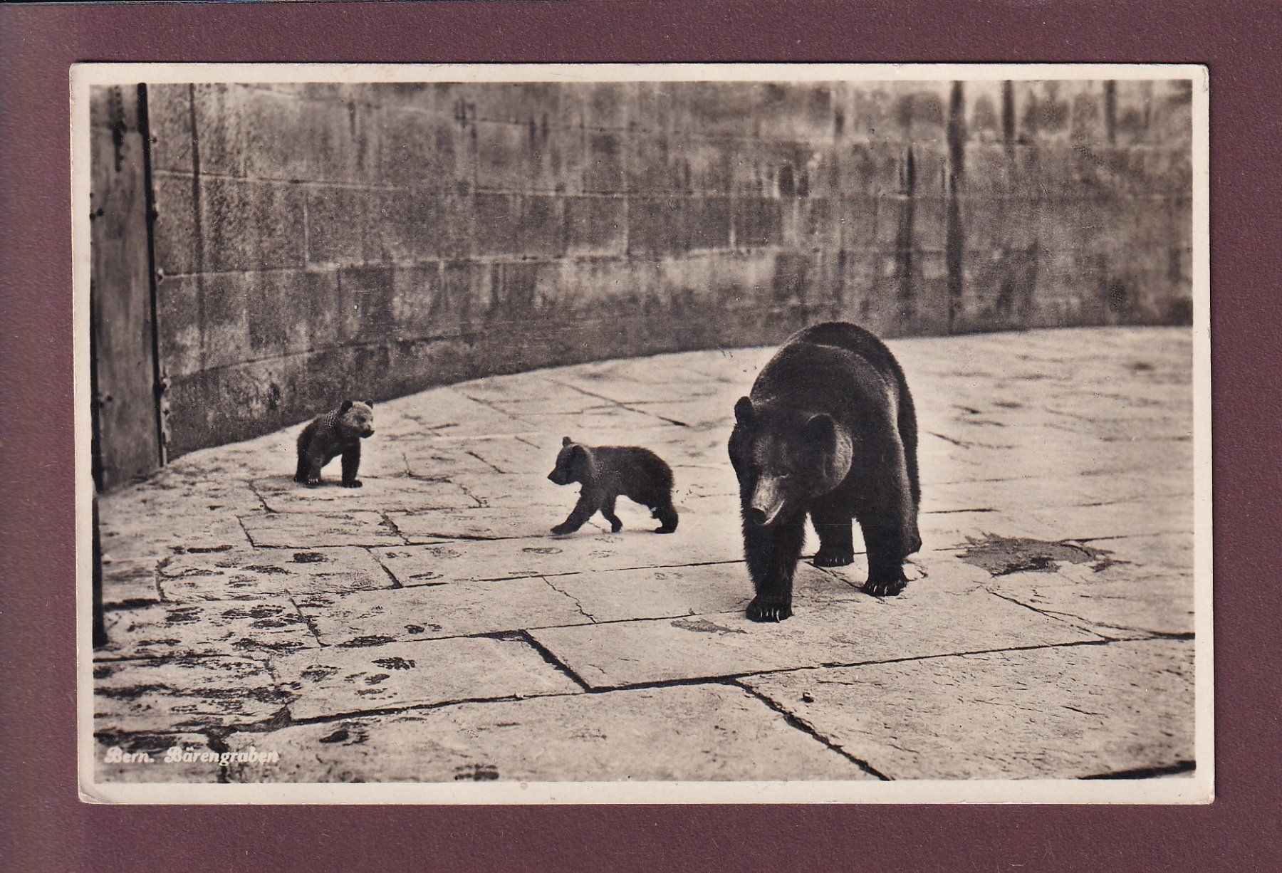 Cartoline postali: BERN - Bärengraben - 1935 – Usato da Pully venduto da nicecards