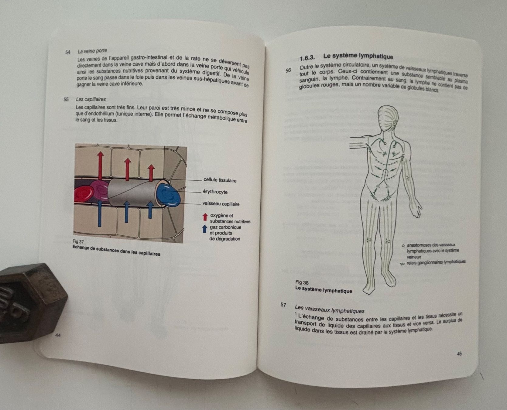 Libri: Armée Suisse - Instruction de base pour le service sanitaire – Usato da Neuchâtel venduto da gefdeneuch 7