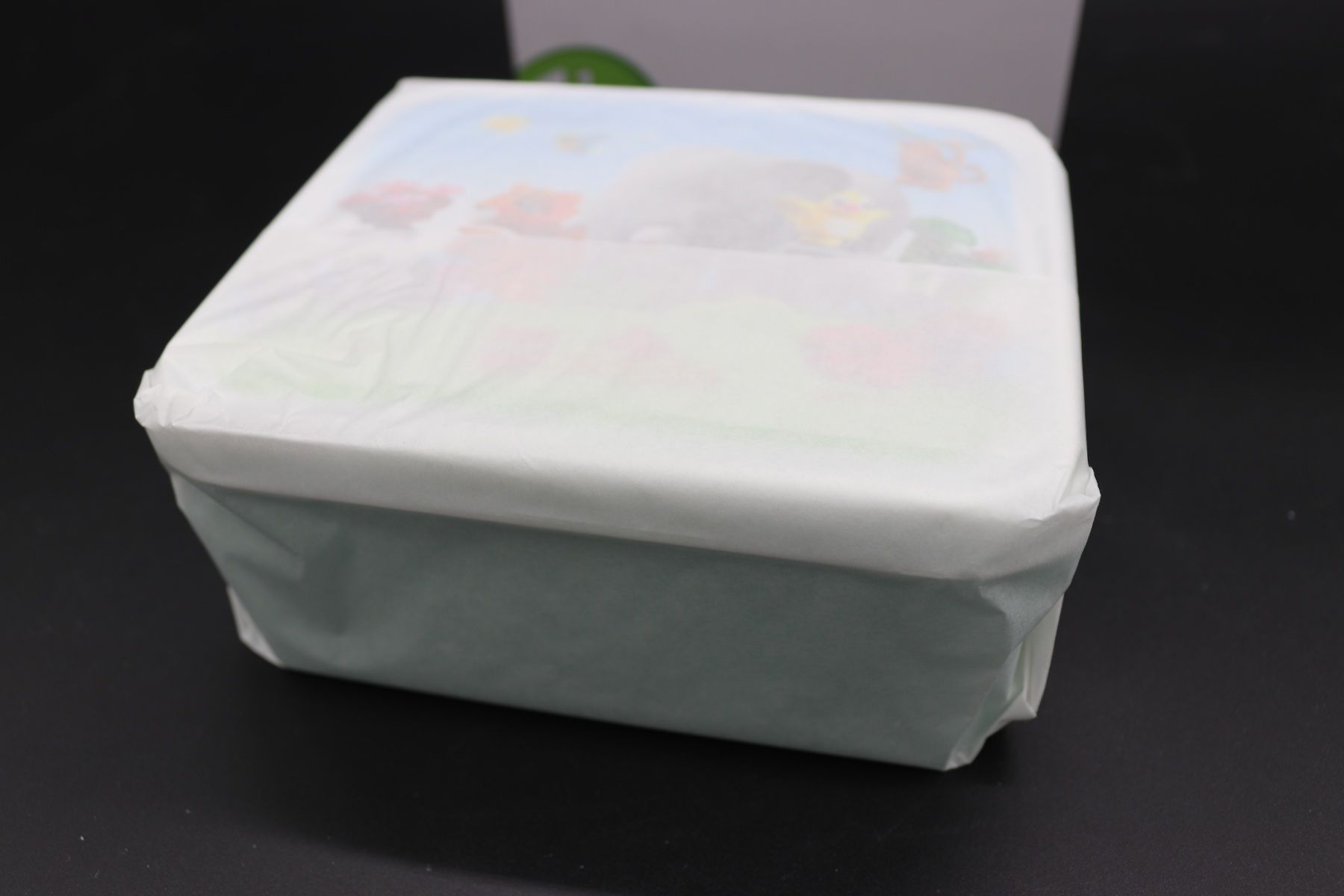 Set di piatti: LEGO Duplo Lunch Box KEINE BAUSTEINE – Nuovo e nell'imballaggio originale da Hinterforst venduto da -KINGPIN- 3