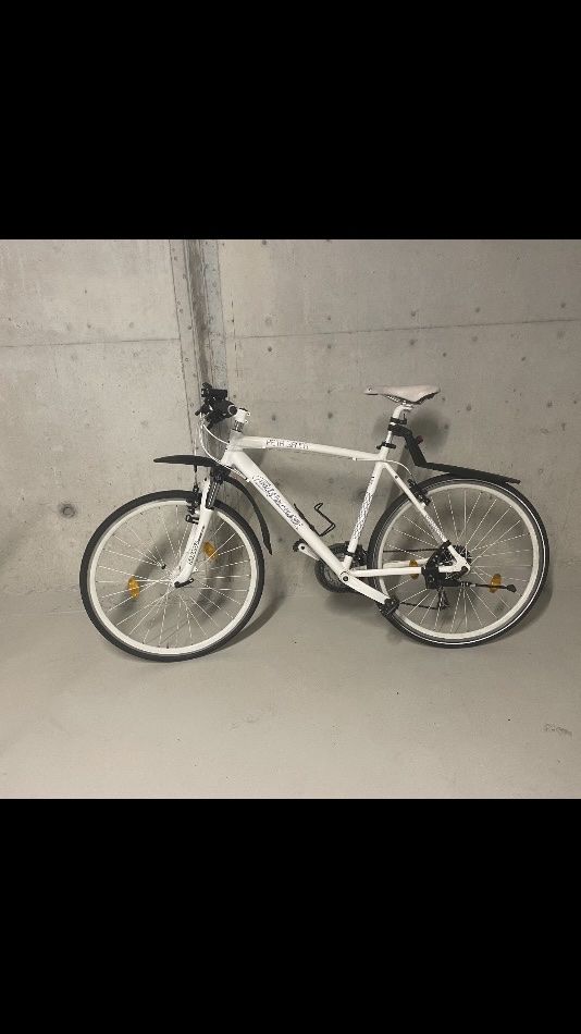 Biciclette: Citybike – Usato da Windisch venduto da sri_lk9d 4