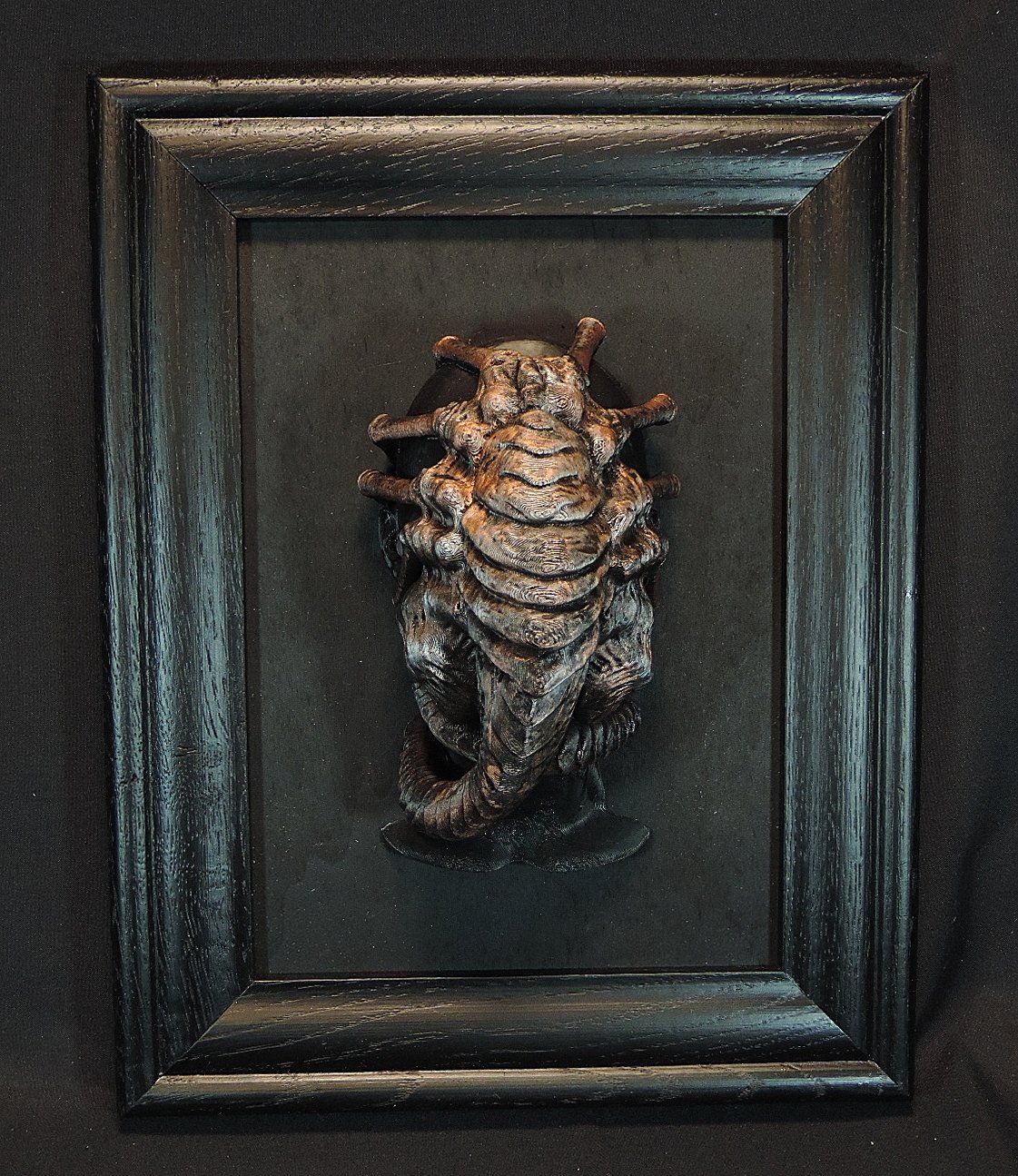 Statuette: Alien Facehugger Skulptur im Holzrahmen – Usato da Duggingen venduto da roterbambus 2