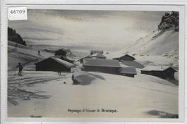 Paysage d'hiver a Bretaye