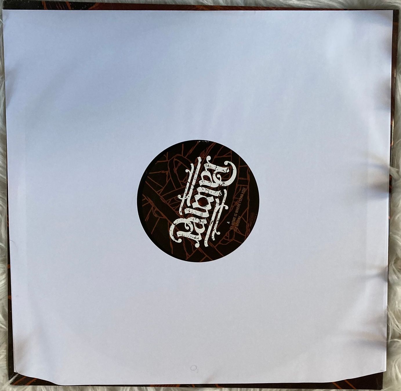 Schallplatten: Palmer - Surrounding The Void / 2xLP – Neu und originalverpackt aus Zürich von LustForLive 4