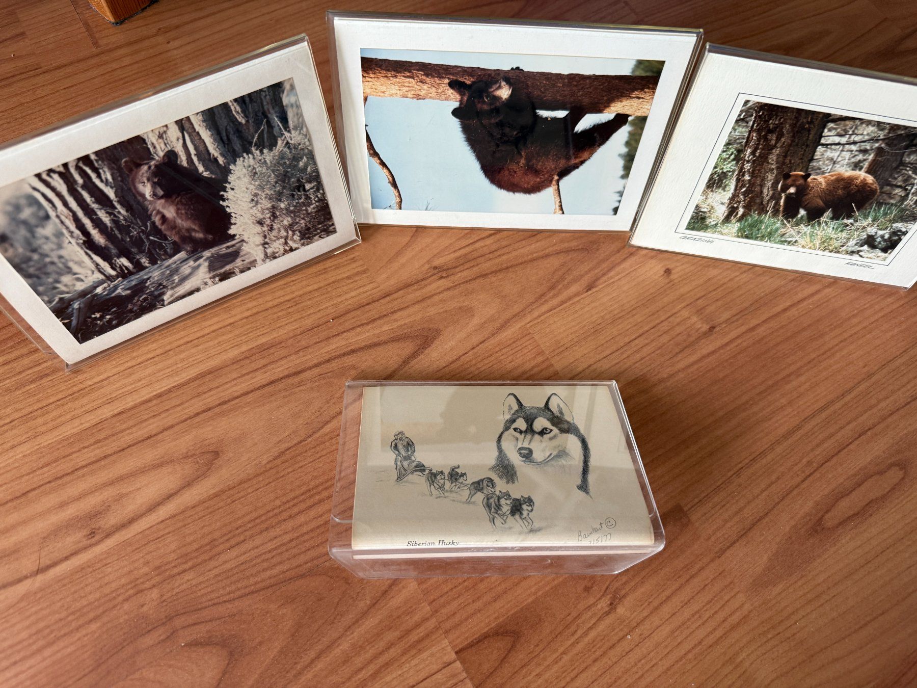 Bilderrahmen: Fotorahmen Acryl – Gebraucht aus Wängi von squirrelwoman