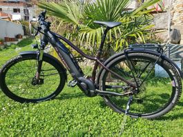 E-Bike Bergamont E Revox4 Neuwertig NUR 270KM