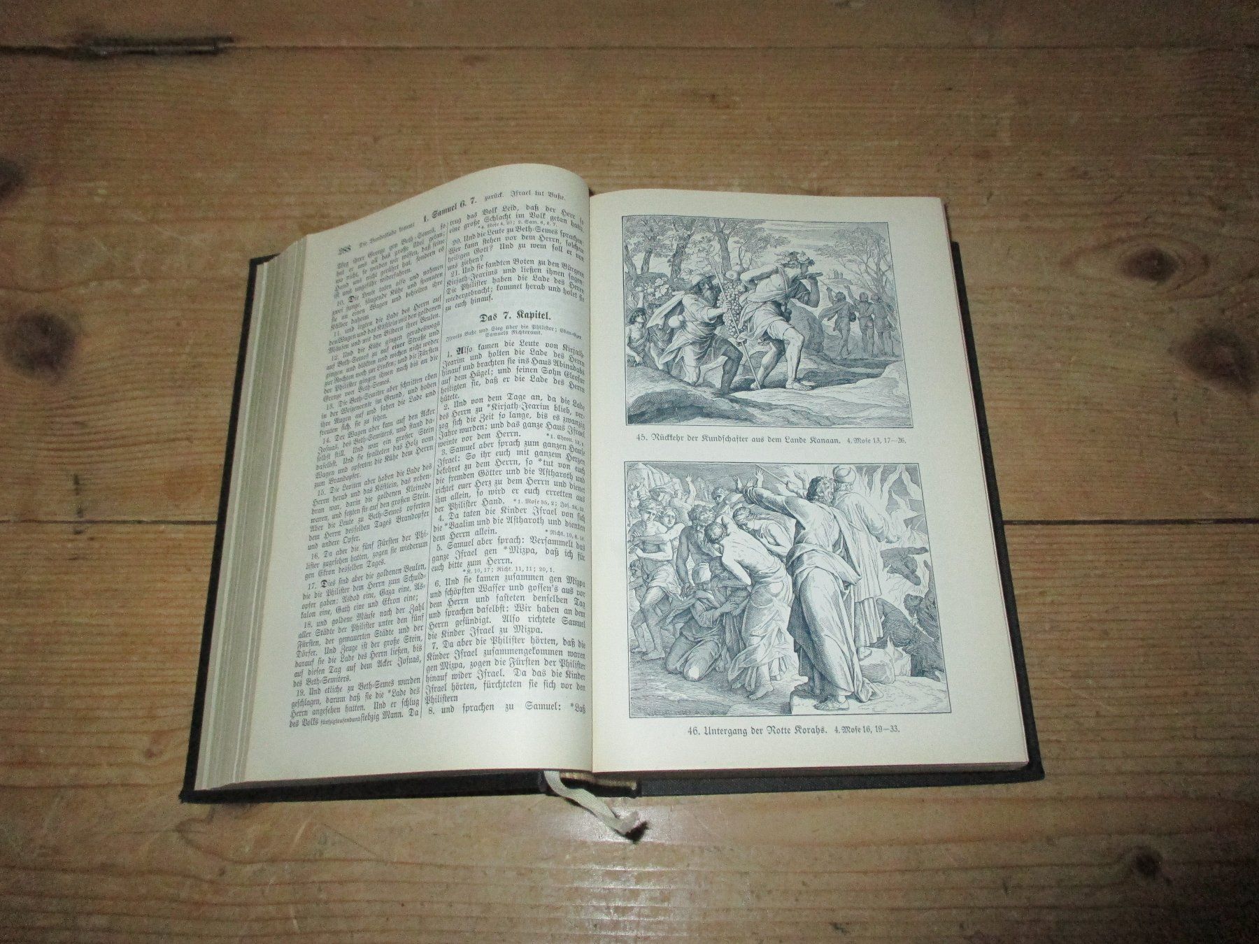 Bücher: Bibel 1925, Illustriert, mit den Apokryphen – Gebraucht aus Flims - Dorf von Stagediver 2