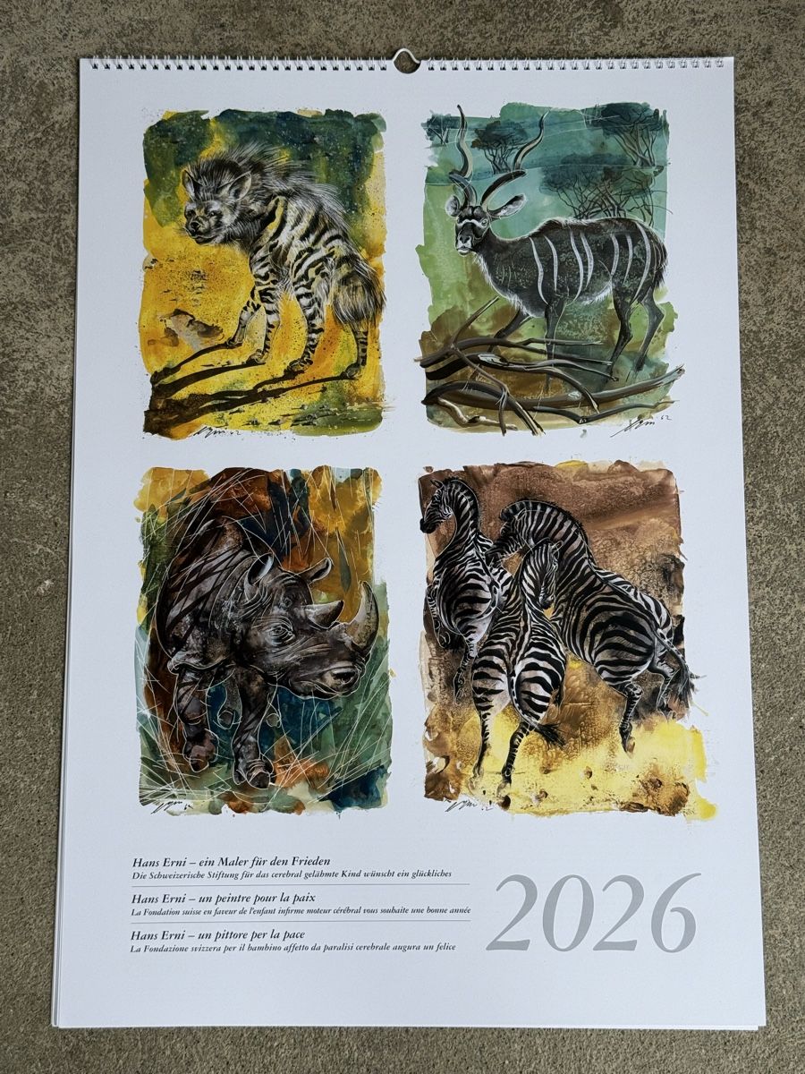 Kalender: HANS ERNI Kunstkalender Wandkalender 2026 – Gebraucht aus Konolfingen von petzipetz