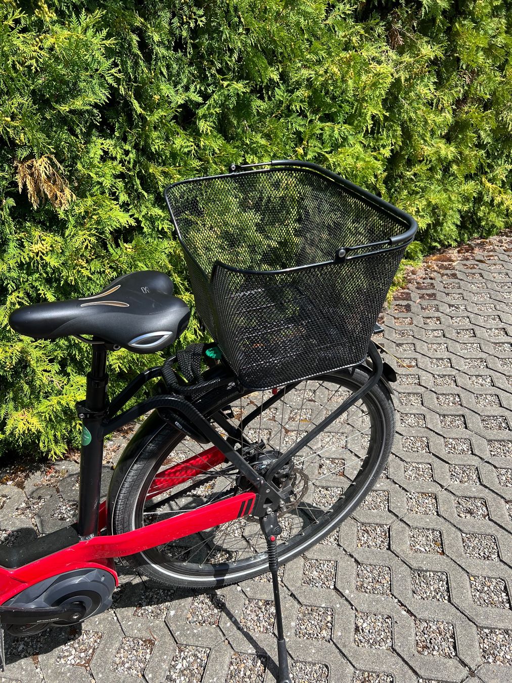 Riese & Müller Biciclette: Riese & Müller Nevo, 45 KM/h, Tiefeinsteiger – Usato da Boningen venduto da Dieter56 4