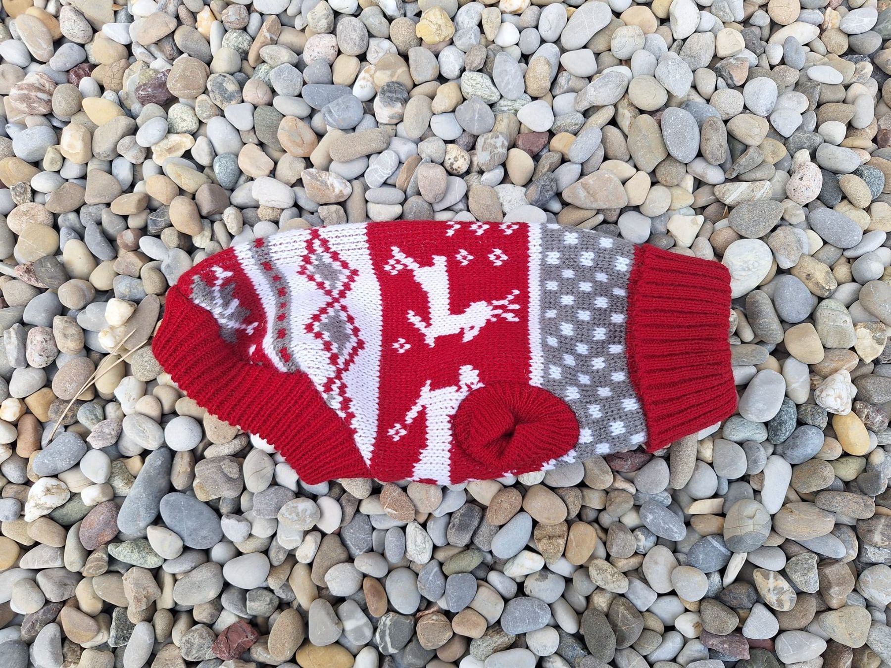 Vêtements: Hunde Pullover 21 cm – Neuf (Voir description) à Forch par merlotpomerol 1