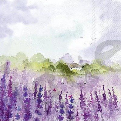 Tovaglioli: Serviette lavender field (1643) 2Stk. – Nuovo (secondo la descrizione) da Schlatt TG venduto da kreativ-atelier