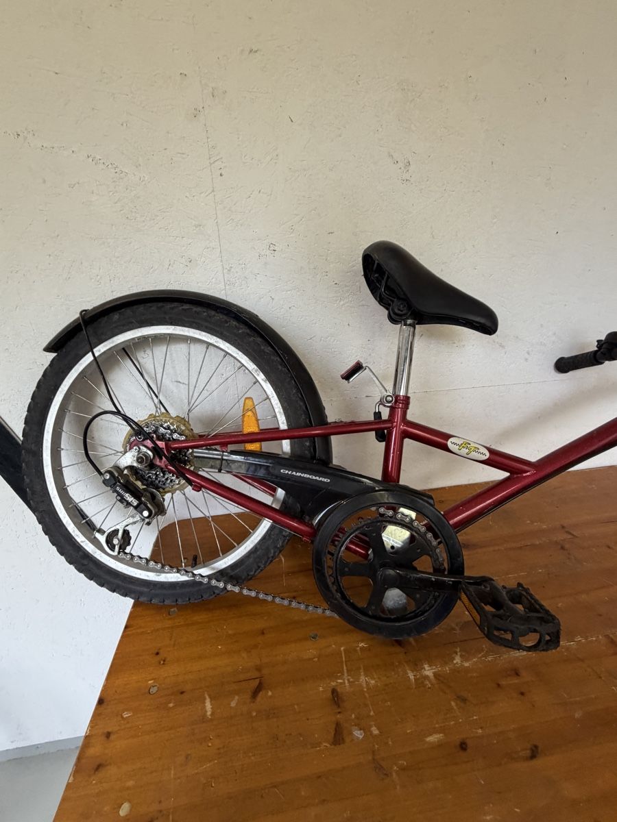 Biciclette: Fun-Trailer Schattenvelo – Usato da Gurmels venduto da SwissShop21 4