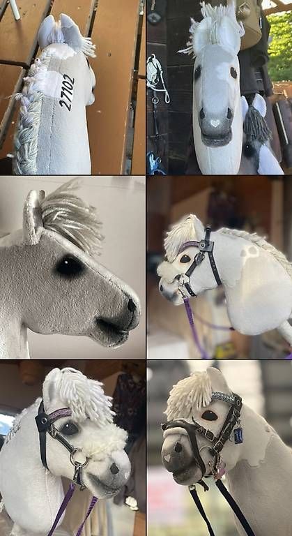 Giocattoli: Hobby Horse CENNET – Usato da Susten venduto da Kht_formidable 3