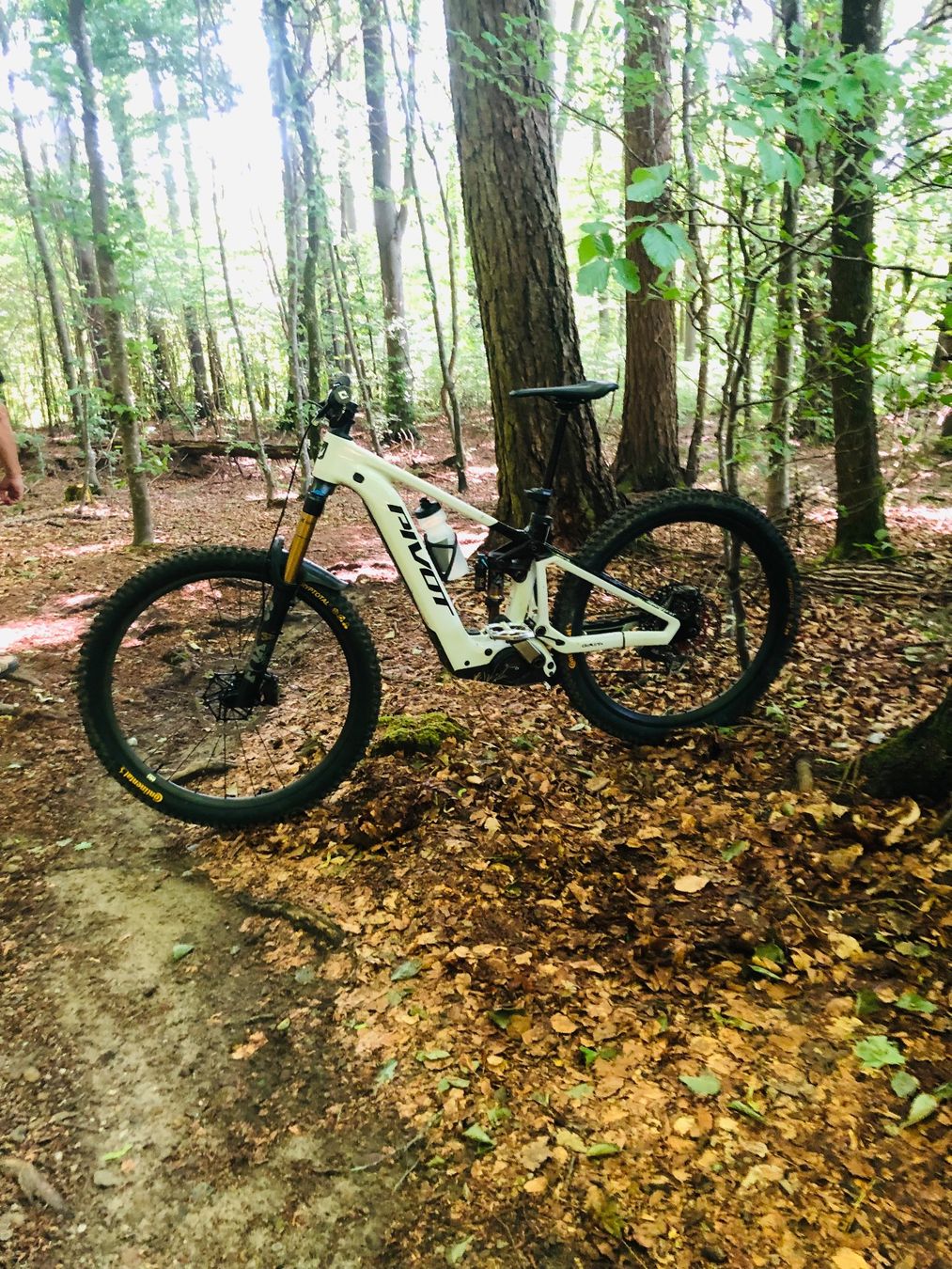 Vélos: Pivot Shuttle LT – D'occasion à Winterthur par janser02