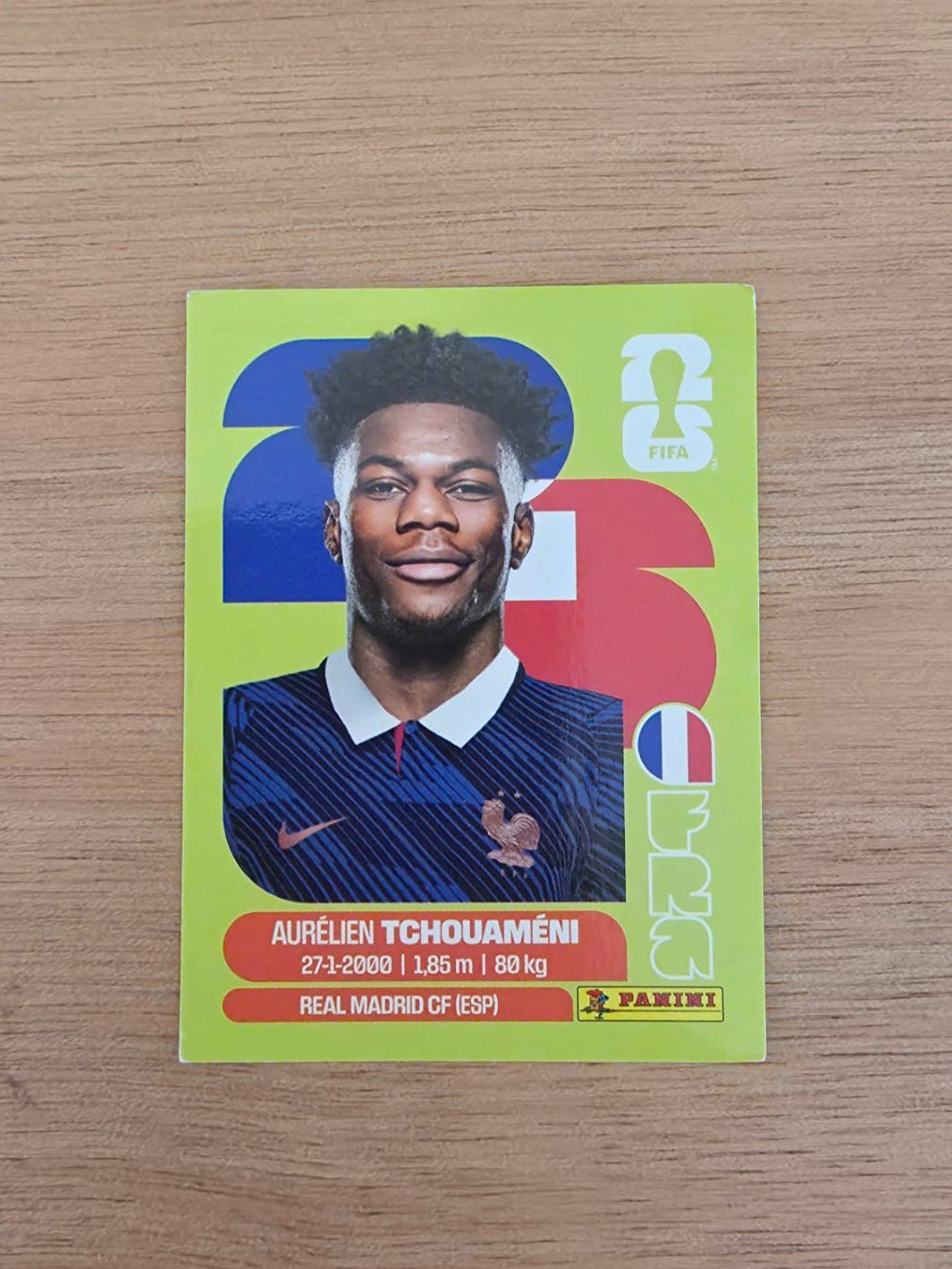 Panini Carte collezionabili: Panini Fifa FRA 9 – Usato da Malters venduto da mat_6102