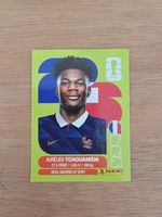 Panini Fifa FRA 9