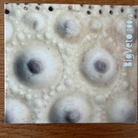BigVeto – 100 Valli (CD Veto) Christoph Erb/Julian Sartorius