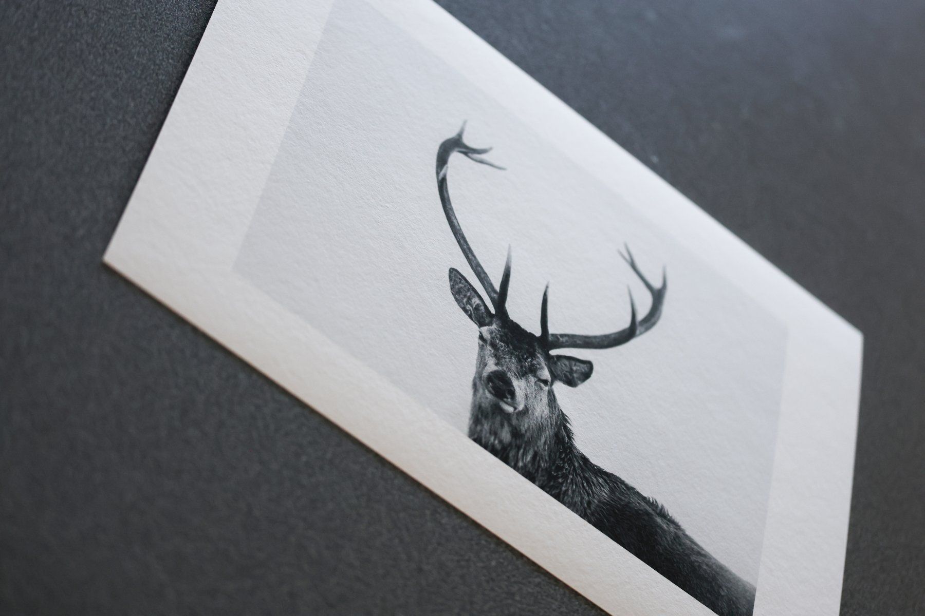 Foto & Immagini: Photo originale "Le cerf en Ecosse" – Usato da Vaumarcus venduto da Arte-Lovers 2