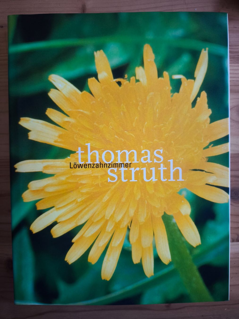 Livres: THOMAS STRUTH - SIGNIERTES EXEMPLAR - – D'occasion à Goldach par Gaip
