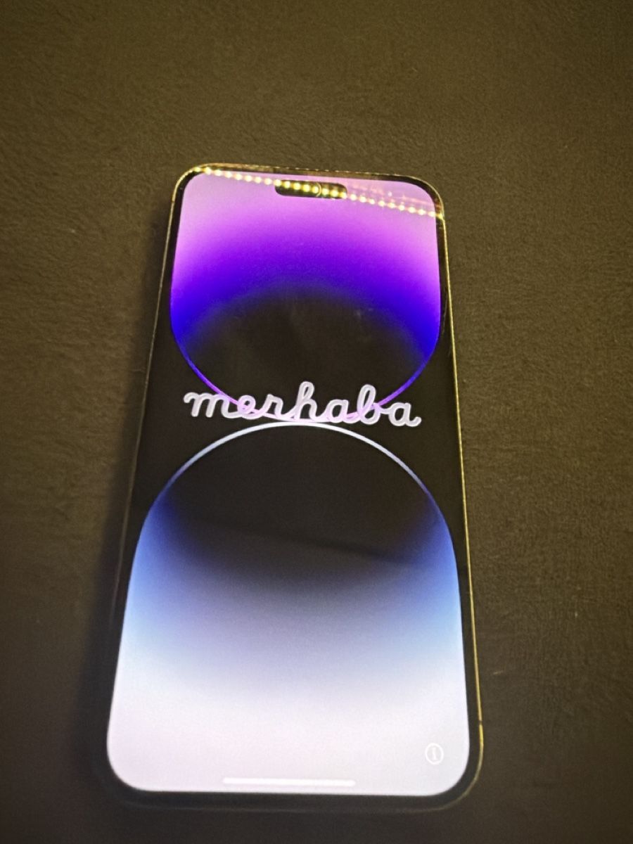 Apple Telefoni cellulari / Smartphones: Smartphone Apple iPhone 14 pro Maxgebraucht – Usato da St. Gallen venduto da sch_2sfm 1