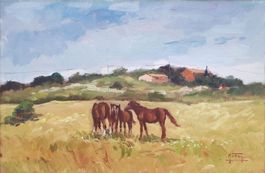 M. Tosy - Les chevaux