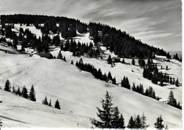 Skigelände Selital