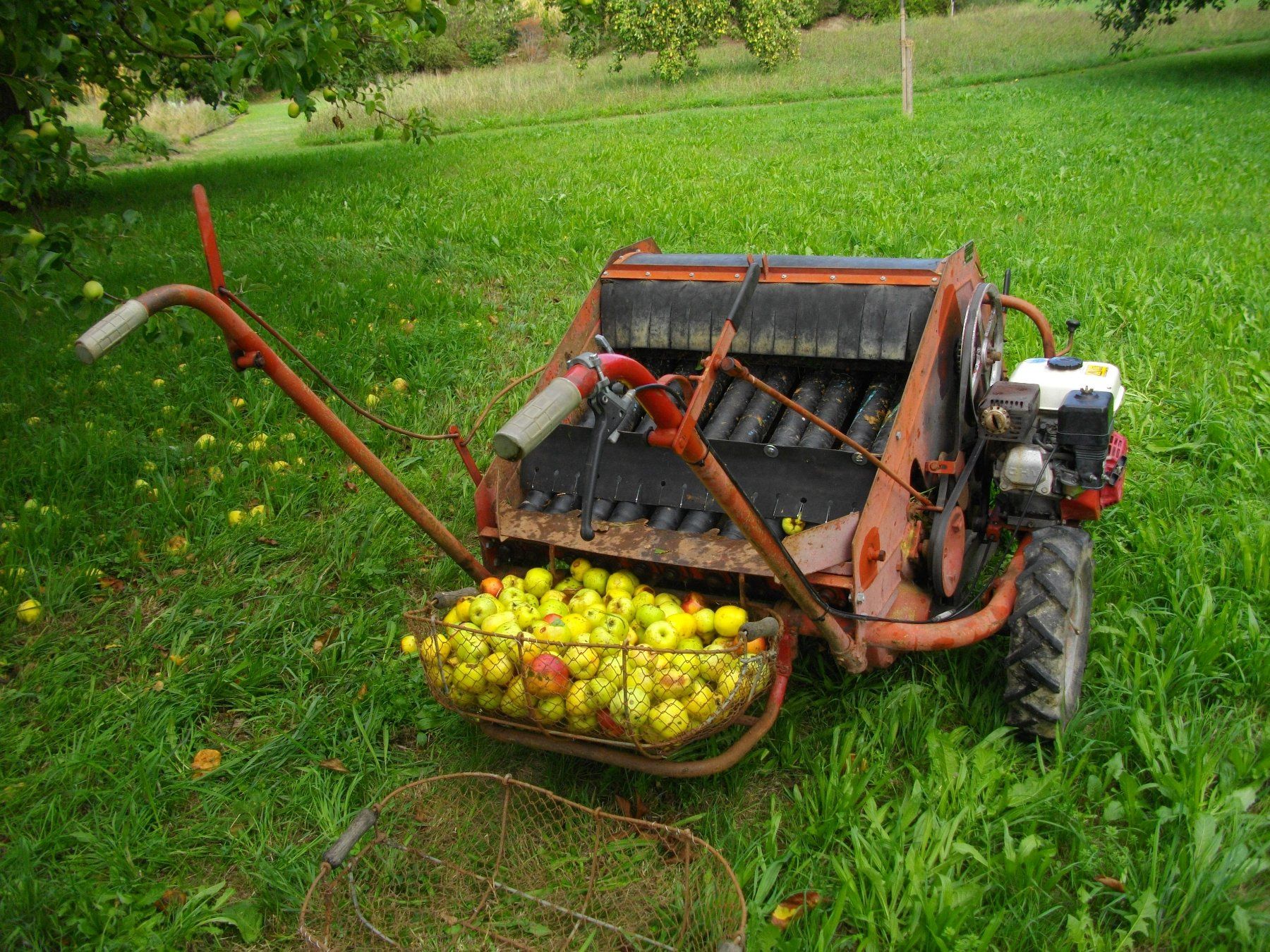 Tutte le macchine: Obstauflesemaschine – Usato da Oetwil am See venduto da Luna519 2