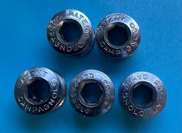 5 Campagnolo Kettenradschrauben für Doppelkettenrad - NEU