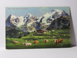 Eiger , Mönch und Jungfrau , Kühe auf der Alm , Sennhütte