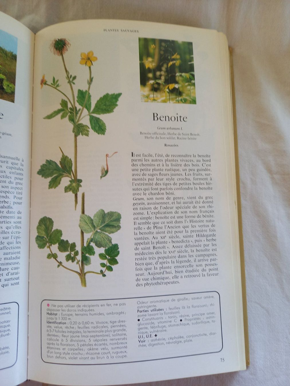 Libri: Secrets et vertus des plantes médicinales, Reader's Digest – Usato da Rossens FR venduto da Souris1 7