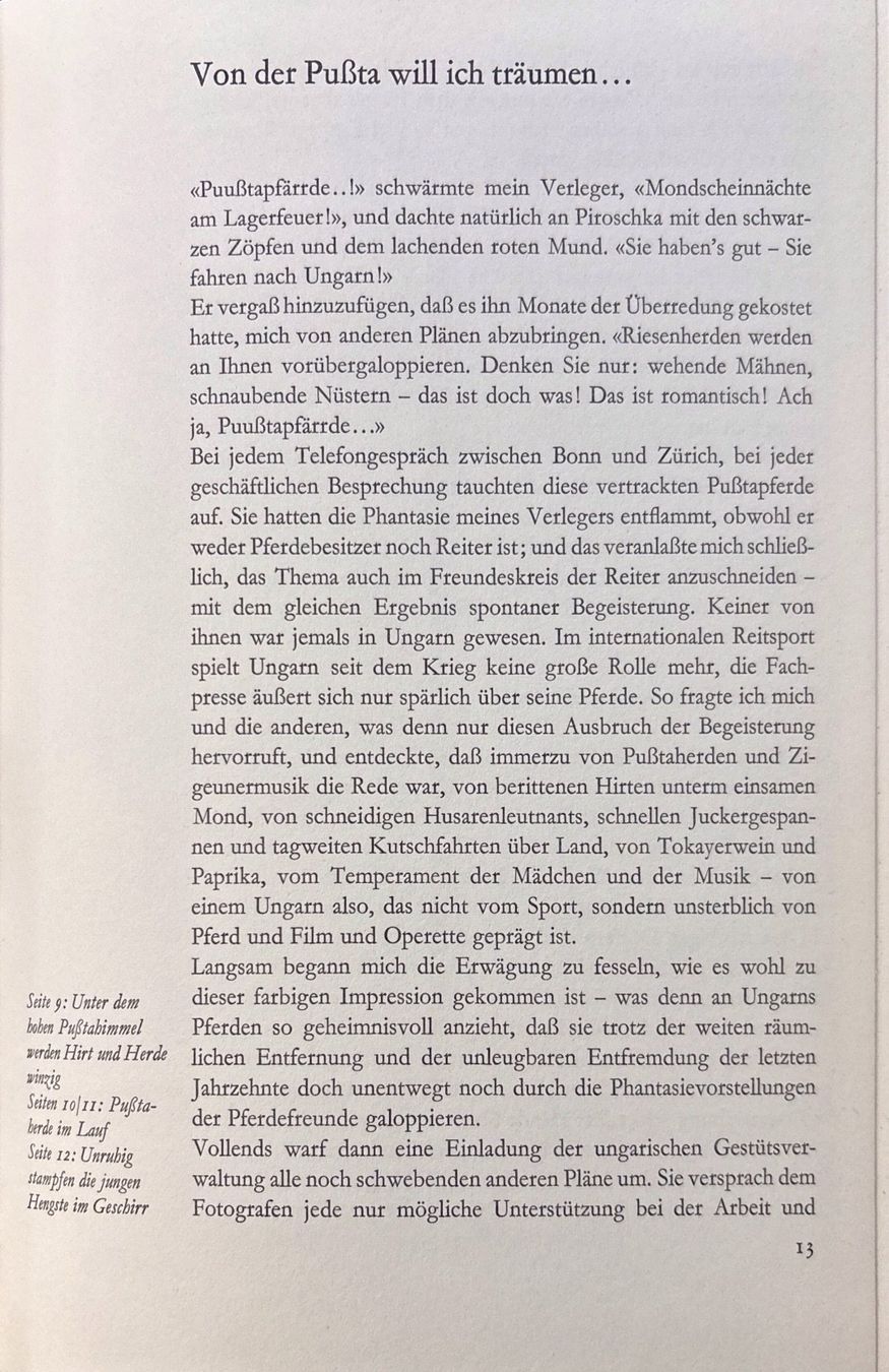 Libri: Bruns Ursula, Ungarns verborgene Herden – Usato da Sarnen venduto da Livres 7