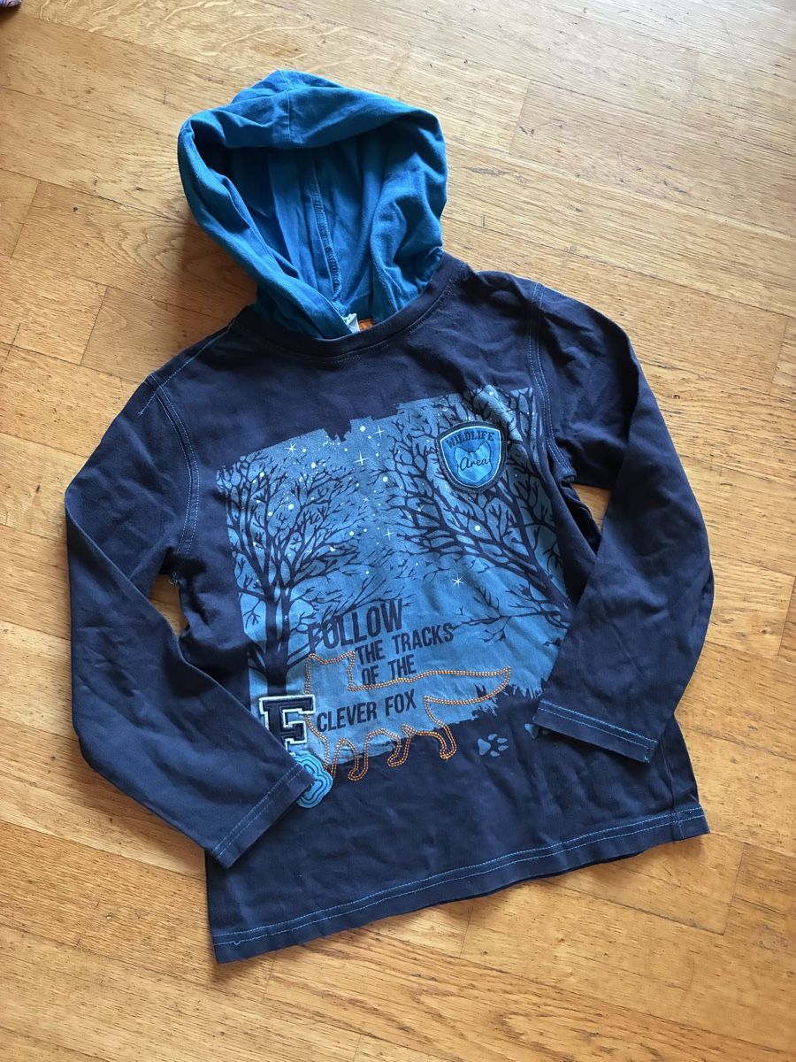Pulls et sweat-shirts: Langarmshirt Gr. 128 – D'occasion à richterswil par lunamarie001