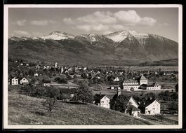 Uznach, Ortsansicht mit Kirche und Berge
