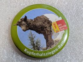 Ansteckbutton 236: