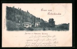 Gelterkinden, Sennhaus und Restauration 