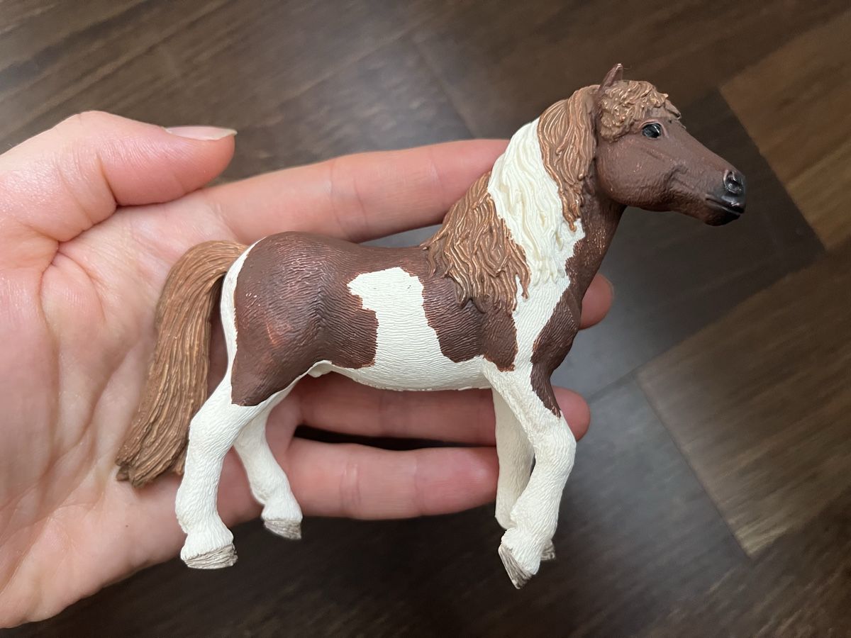 Schleich Giocattoli: Schleich Pferde 5 Set – Usato da Pfäffikon ZH venduto da mal_xs7b 2