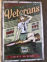 American veterans pin up