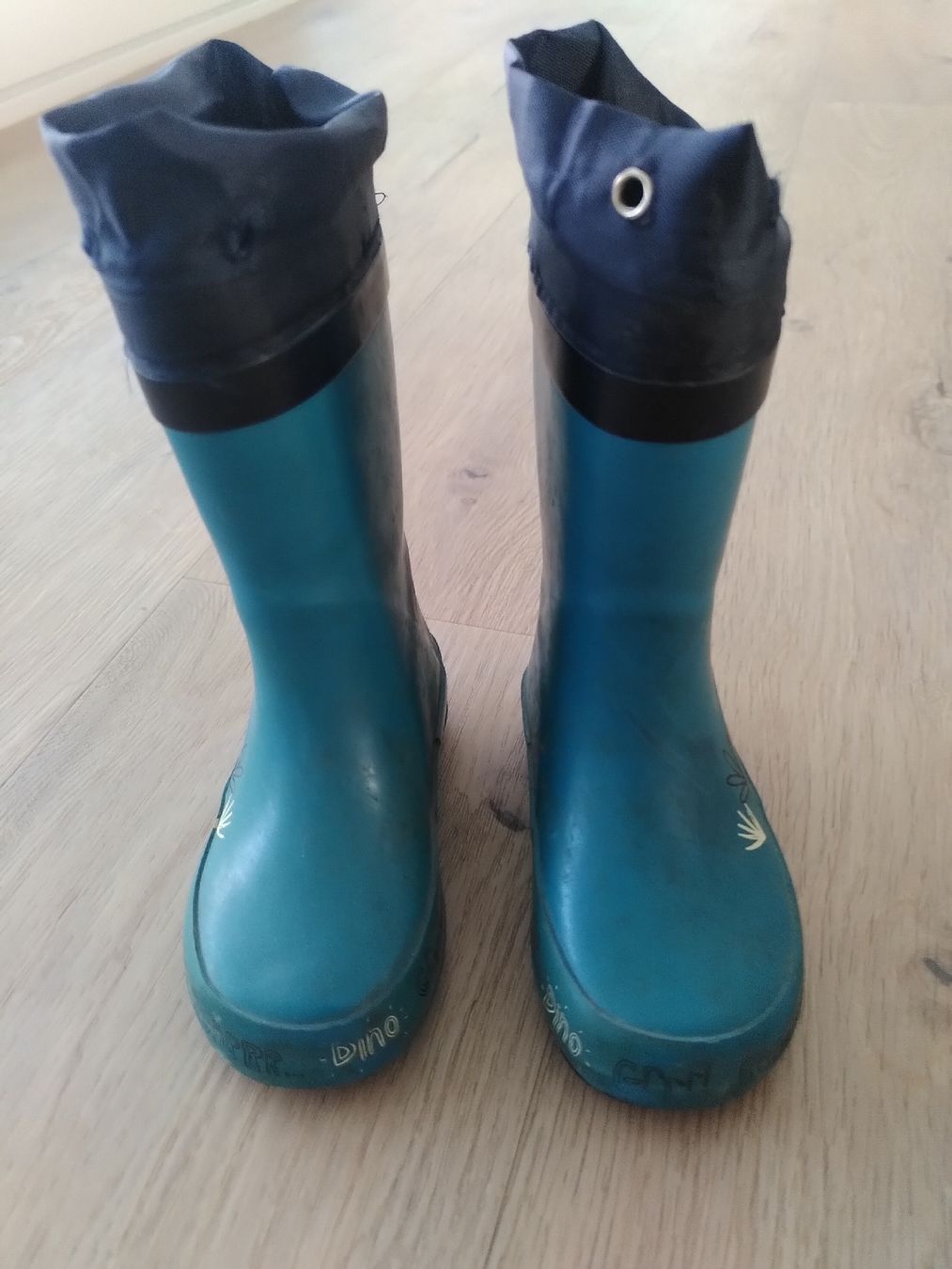 Schuhe für Jungen: Gummistiefel - Grösse 20 - Dinosaurier  – Gebraucht aus Penthaz von ann_l7zt 1